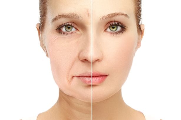 Anti Aging of Skin