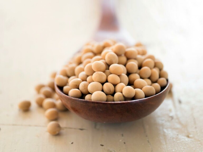soybeans on a wooden spoon.jpg